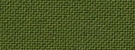 Moss Green